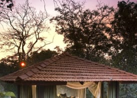 Baghvan Pench National Park - A Taj Safari Lodge 3