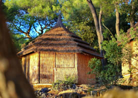 Pine Beach Bungalows all inclusive 4