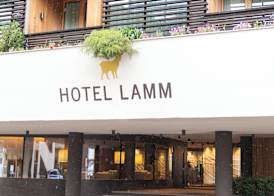 Hotel Lamm 3