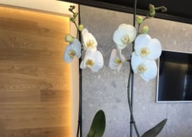 MYHOME 75 Premium Luxury B&B 2