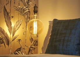 Home at Tancred Road 4