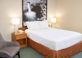 Super 8 by Wyndham Antigo 5