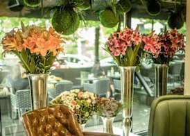 Hotel Botanica 2