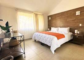 Tukan Hotel Playa del Carmen 4