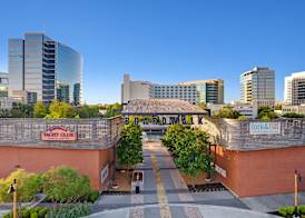 Hilton Dallas/Plano Granite Park 4