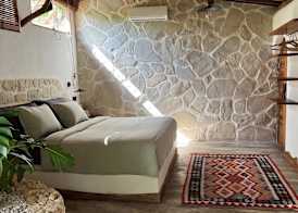Roots Tree House 3