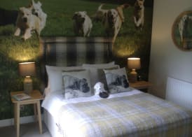 The Dog in Over Peover 5