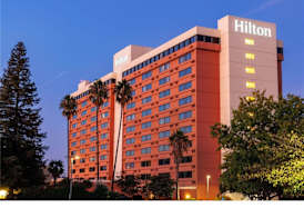 Hilton Concord 3