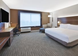 Holiday Inn Express & Suites OKEMOS - UNIVERSITY AREA by IHG 4