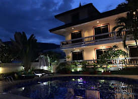 Tropical Palm 2
