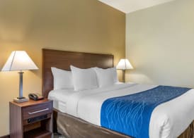 Comfort Inn & Suites Orange County John Wayne Airport 5