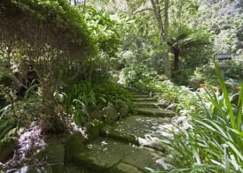 Lotus Lodges 2