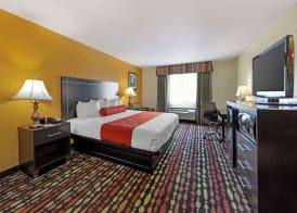 Best Western Greentree Inn & Suites 5