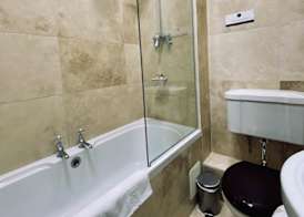 The Black Hole 5