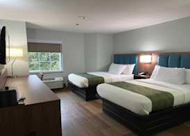 Wingate by Wyndham Macon I-475 4