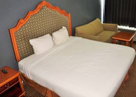 Hotel Elev8 5