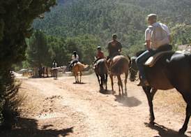Apartamentos Rurales Campillo 4
