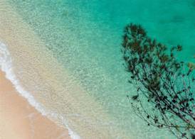 Baia Delle Zagare - Handwritten Collection 4