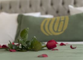 Mirart Hotel Boutique & SPA Yalova 2