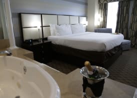 Holiday Inn PLAINVIEW-LONG ISLAND by IHG 4