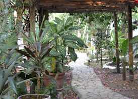 Hotel Jaguar Inn Tikal 2