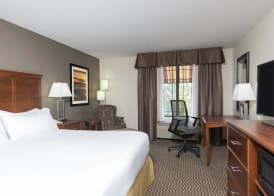Holiday Inn Express HOLLAND by IHG 4