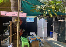 Tropical Bay 3