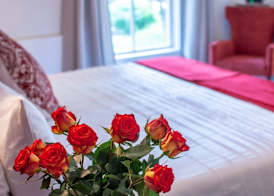 Rustic Manor Guest House 4