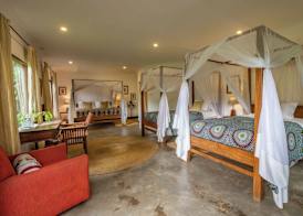 Mount Meru Game Lodge 5
