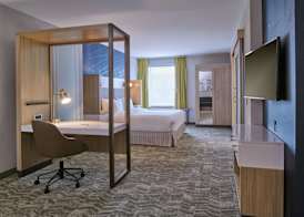 SpringHill Suites by Marriott Detroit Dearborn 4