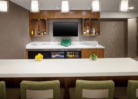 SpringHill Suites by Marriott New York JFK Airport/Jamaica 2