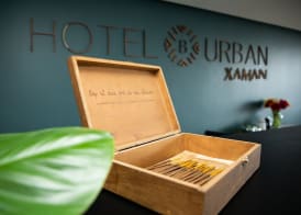 Hotel B Urban Xaman by Fontán Reforma 3