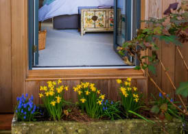 The Room in the Garden 3