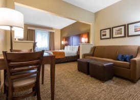 Comfort Suites Rochester Henrietta University Area 4