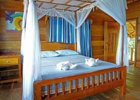 Tree House Bungalows 5