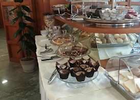 Gotha Hotel Turin Airport 5