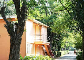 Hotel Kamelija 4