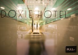 Doxie Hotel 2