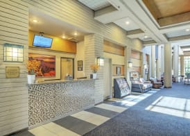 Orange Tree Resort 4