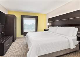 Holiday Inn Express & Suites GREENVILLE-SPARTANBURG(DUNCAN) by IHG 4