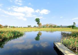 Hotel Cozi·Wetland 3
