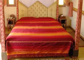 Riad Al Madina 5