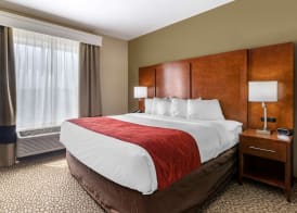 Comfort Suites Florence I-95 4