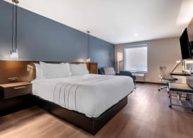 Vīb Hotel by Best Western Denver RiNo 4
