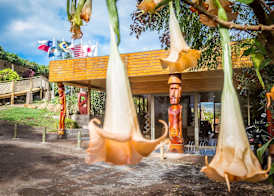 Easter Island Ecolodge 5
