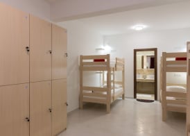 Hostel Free Bird 5