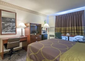 Super 8 by Wyndham Colorado Springs/Chestnut Street 5