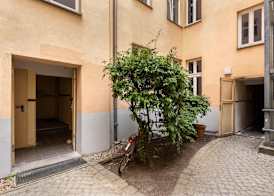Numa Berlin Kater 2