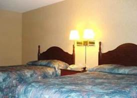 Town House Inn and Suites 5