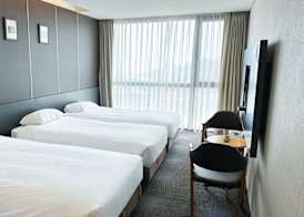 Golden Daisy Hotel 4